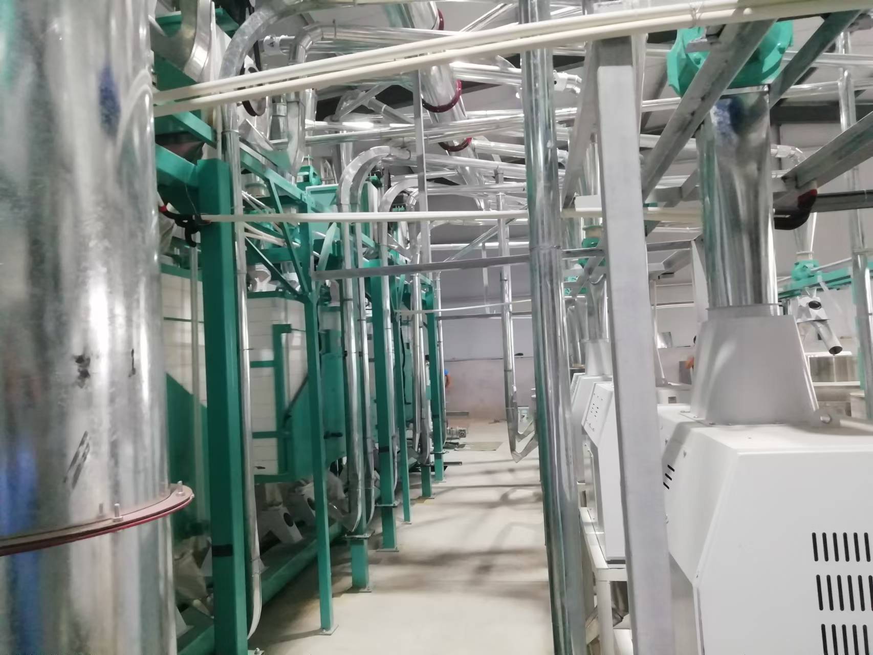 山東德州臨邑六加四石磨面粉機